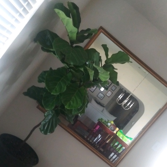 Meet your Posher, Bridgette - Picture 1 of 1